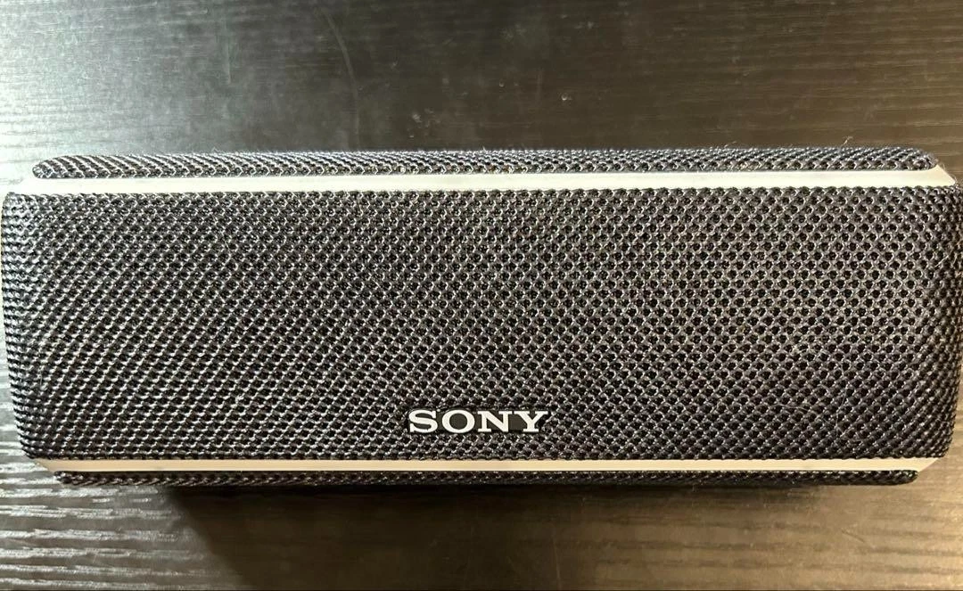 SRS-XB100 Enceinte portable Bluetooth® | Enceintes sans fil | Belgique