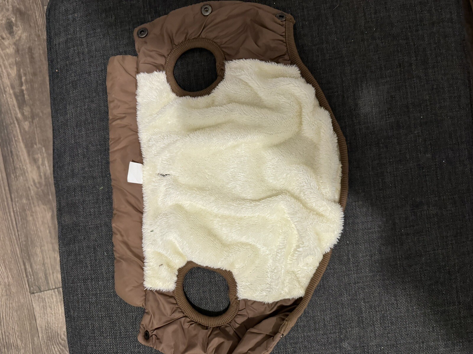 Dog Coat eBay