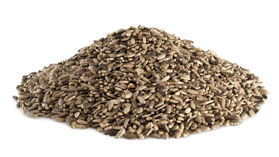 Mariendistelsamen Ganze Mariendistel Samen 1A BIO-Qualität TOP 250g-10kg