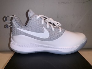 lebron james witness 11