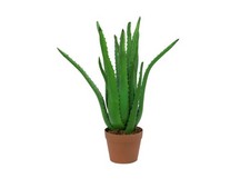 artplants Deko Aloe Vera Pflanze, 16 Blätter, 65cm