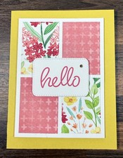 Stampin Up Card Kit Hello Friend Card Florals in Bloom Strawberry SlushB 4 Cards
