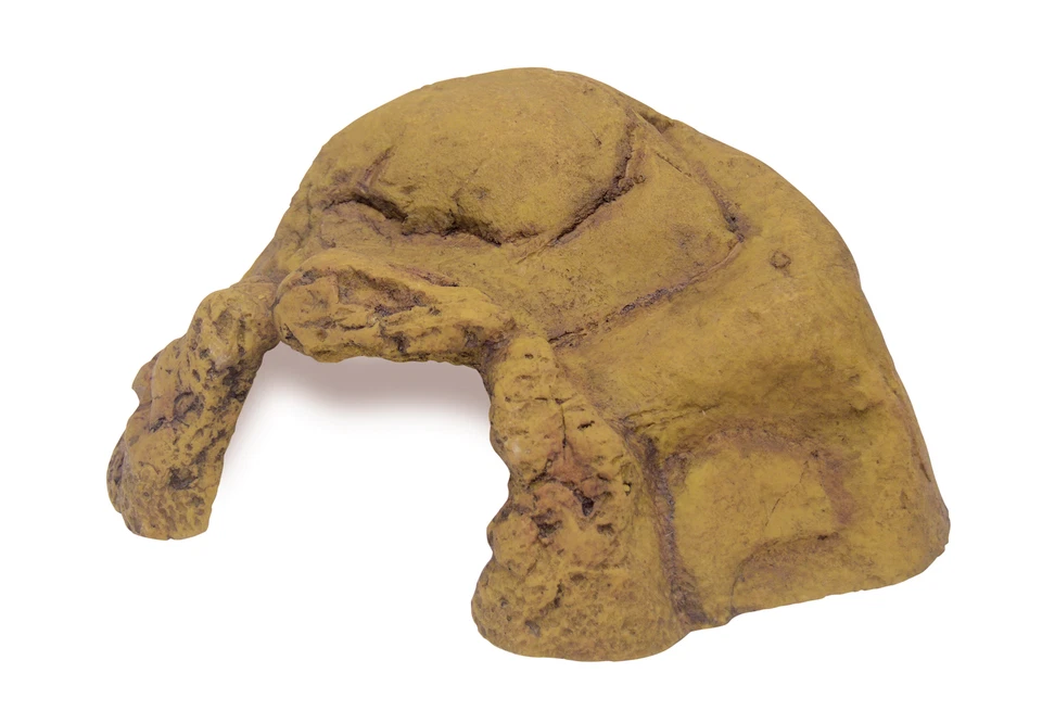 Reptile Cave - Natürlich aussehende Terrarienhöhle in Steinoptik - 34x31x15cm - Bild 1 von 1