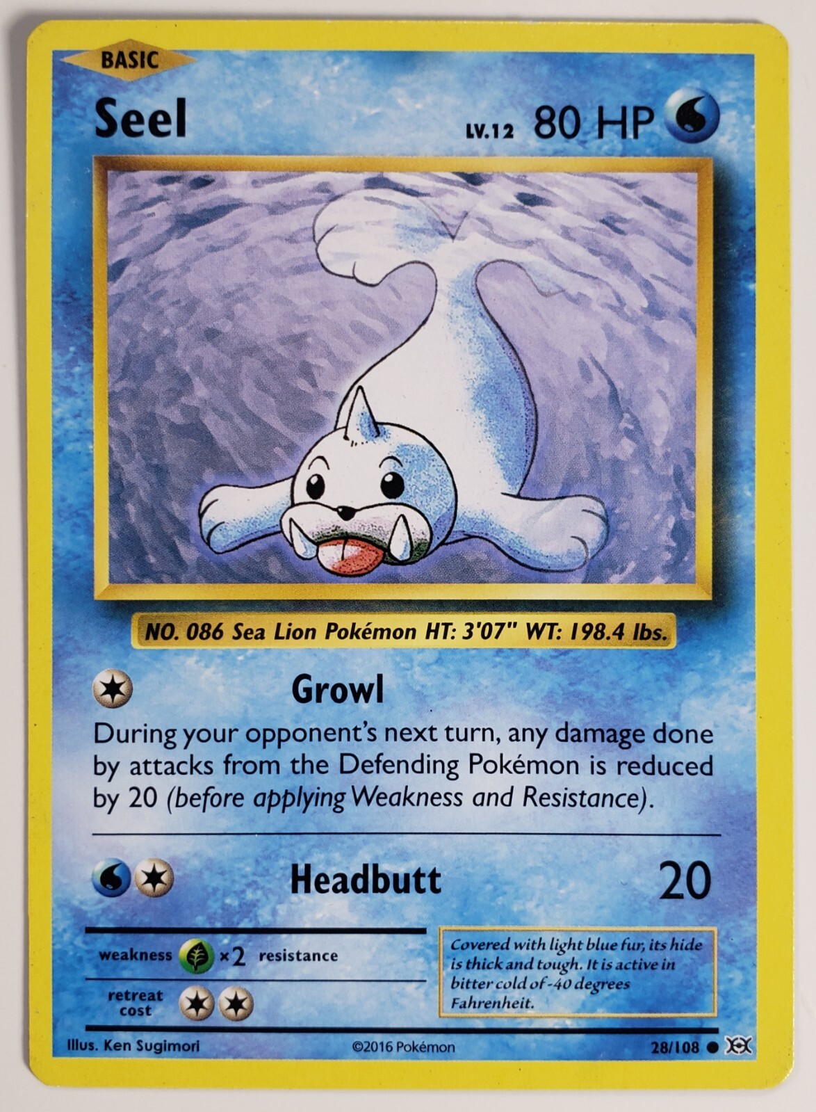 Seel