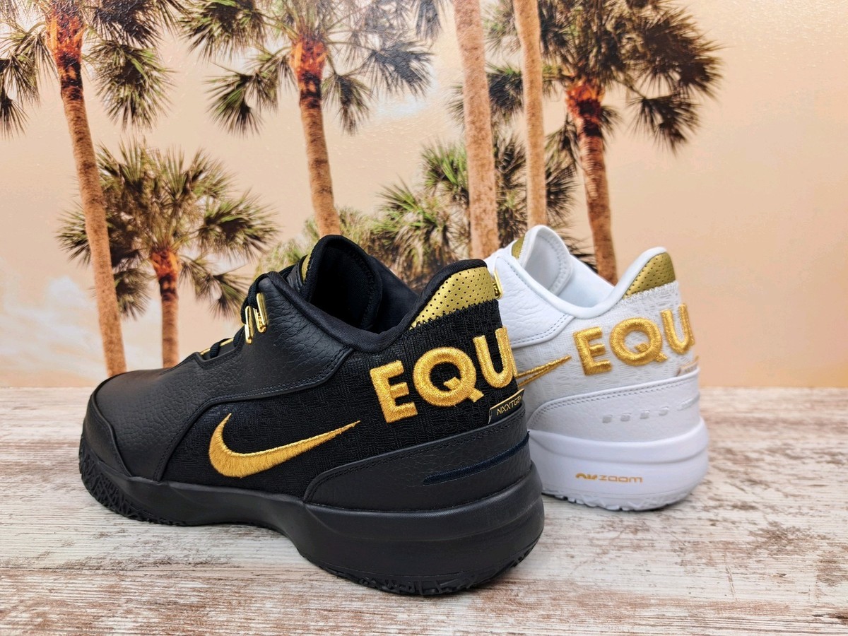 Nike Zoom LeBron NXXT Gen Ampd 