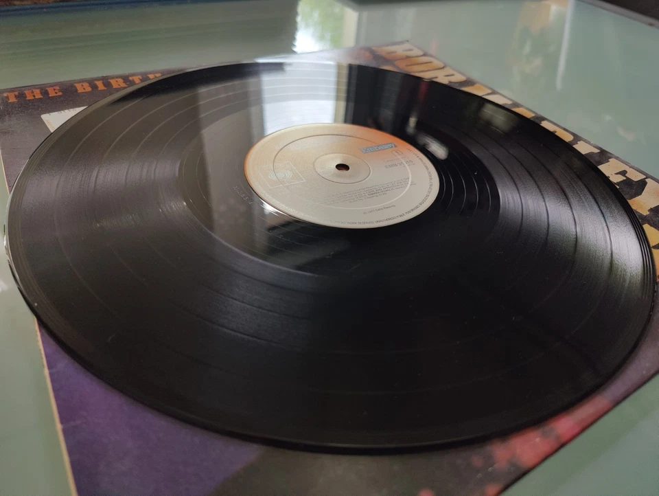 Bob Marley and the Wailers The Birth of a Legend · Lp, Foto 3 von 3