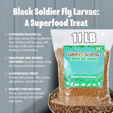 11LBS Non-GMO Dried Black Soldier Fly Larva BSF Larvae Treats for Chickens Birds