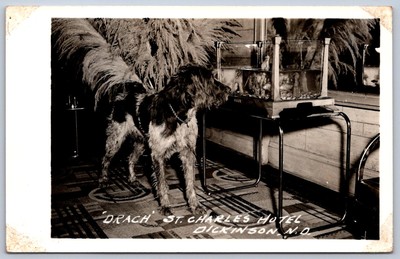 K29/ Dickinson North Dakota RPPC Postcard c10 ''Drach'' Dog St Charles Hotel 312