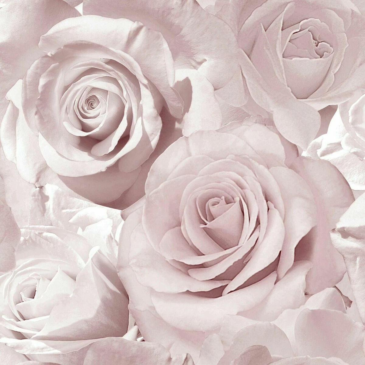 Share 159+ 3d pink rose wallpaper best 3tdesign.edu.vn