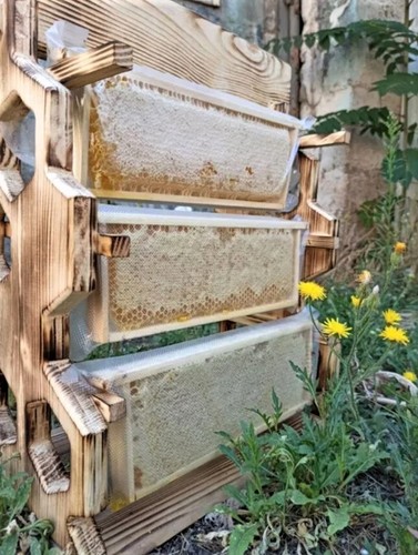Ukrainian natural honeycomb organic honey in frames apiary harvest 2024 - 第 5/7 張圖片