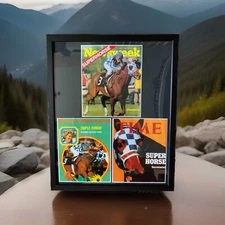 THE GREAT SECRETARIAT , TIME MAGAZINE, SPORTS ILLUSTRATED, AND NEWSWEEK COVERS