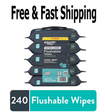 Equate Extra Large Flushable Wet Wipes, Mint, 240 Wipes 5 Pack 