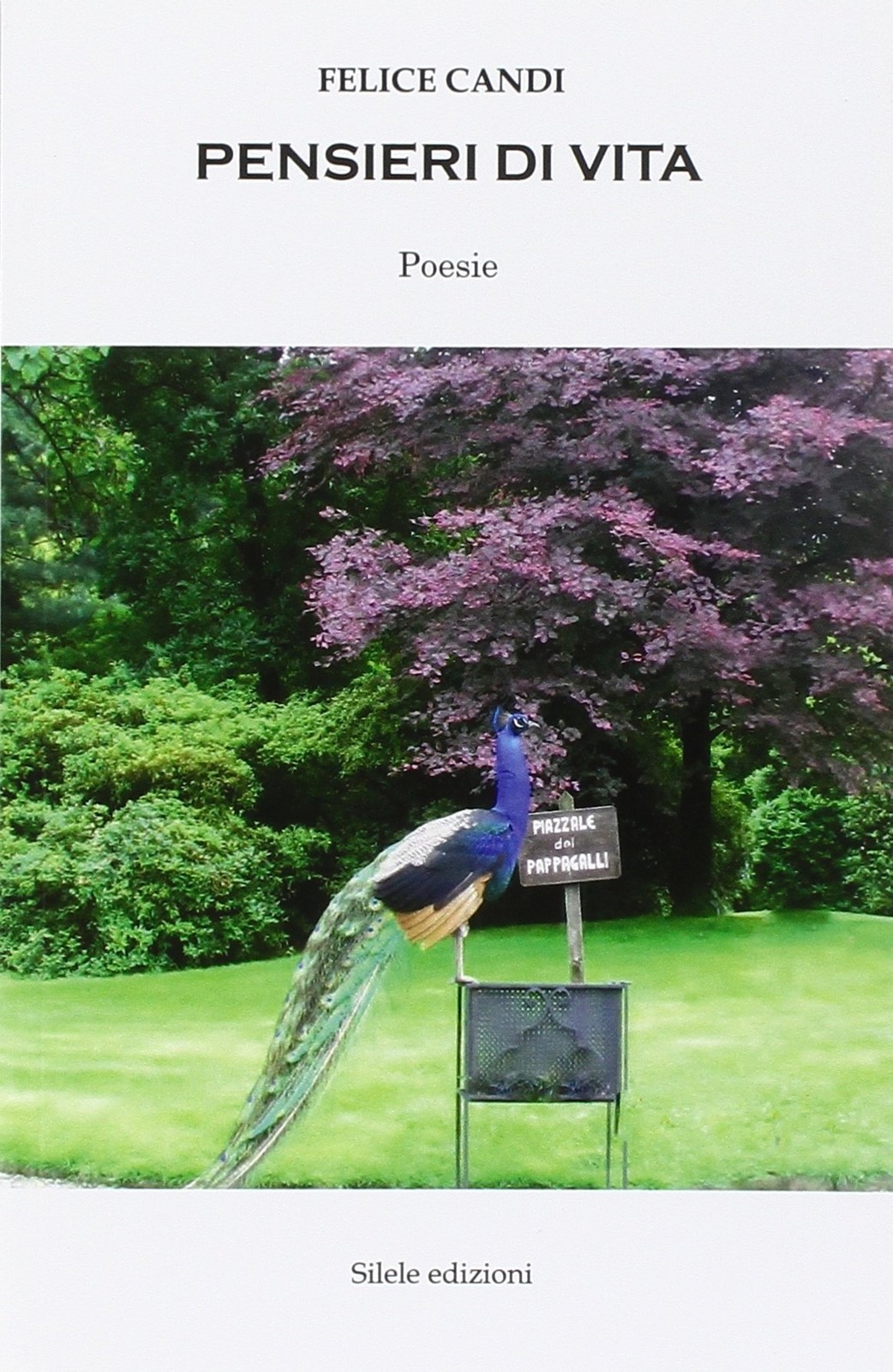 Феличе Канди Пансиери ди вита (в мягкой обложке) (ИМПОРТ из Великобритании)