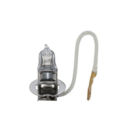 Glühlampe Fernscheinwerfer Bosch 1987302431 Trucklight Ws für Daf Ford Fruehauf
