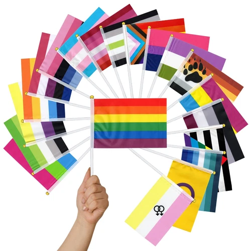 Mini PRIDE HANDHELD FLAG, LGBT Rainbow Trans Genderfluid Asexual Lesbian Pan Bi