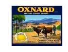 Crate Label  Vintage Style Sign Metal Wall Lemon Oxnard  MS116