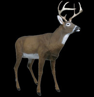 Flambeau Decoys 5965ms Master Series Boss Buck Decoy on sale Flambeau Decoys 5965ms Master Series Boss Buck Decoy on sale