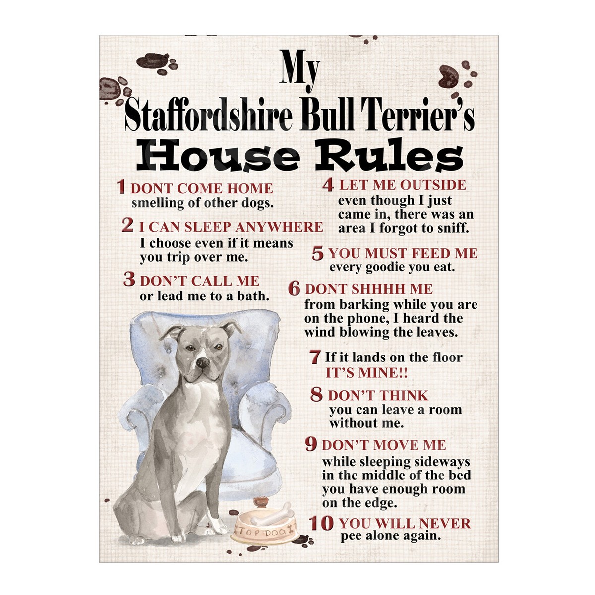 Staffordshire Bull Returning A Dog To Dogs Trust My Staffordshire