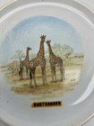 3 West Germany African Wildlife Plates Oudtshoorn Small Giraffe Buffalo Elephant — photo 8