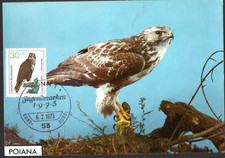 909+ FDC CARTE 1er JOUR  ALLEMAGNE  OISEAUX   BUSE  VARIABLE
