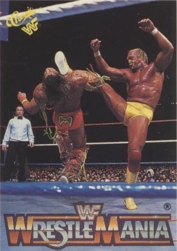 The Hart Foundation WWF Classic 1990 WrestleMania Card #124 NM (H1