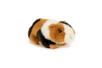 Meerschweinchen PlüSchtier Stofftier Kuscheltier ** Neu 18Cm