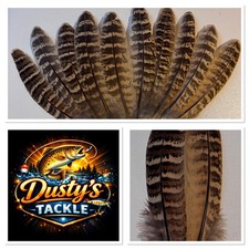 Hen Pheasant Wing Feathers 10 To 15cm Equal L&R Fly Tying (s) BUY 4 GET 1 FREE