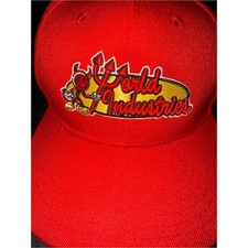 NEW WORLD INDUSTRIES DEVIL FLAMEBOY SKATEBOARD VINTAGE 90's RED CAP HAT