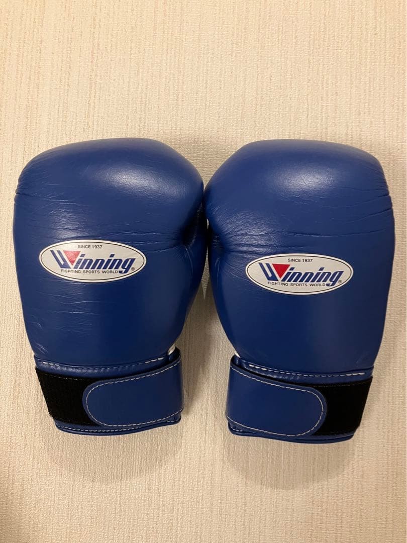 Winning Boxing Gloves 10oz MS-300B Blue Used | eBay