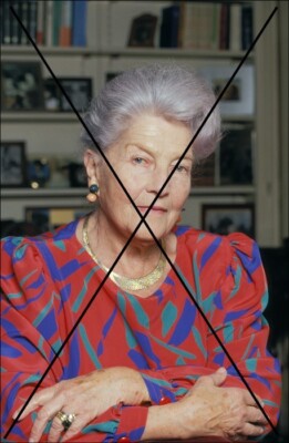 PHOTO DE LA COMTESSE DE PARIS 1991