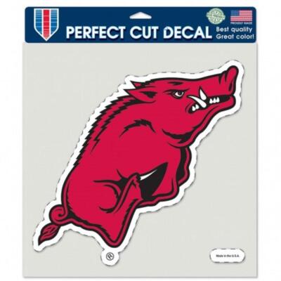 Arkansas Razorbacks 8