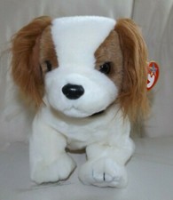 TY Beanie Buddy Regal Cavalier King Charles Spaniel Dog White Brown 2001 - NWT