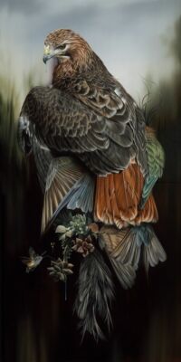 METALLSCHILD Vögel Falke 20X30 CM