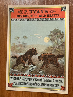 1882 Ryan's Menagerie of wild beasts & Robinson's Circus trade card