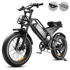 250W Motor 20in Electric Bike for Adults 48V  18.2AH  Fat Tyres Off-Road EBike