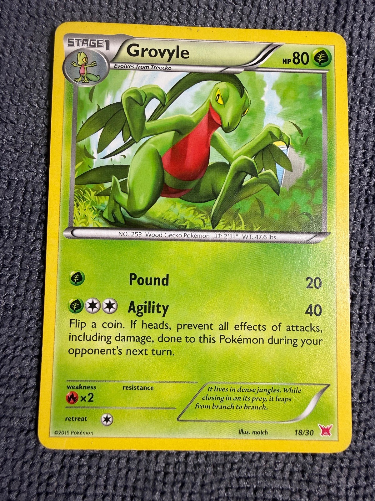Grovyle 18/30 XY Trainer Kit Latias Pokemon Lightly Played