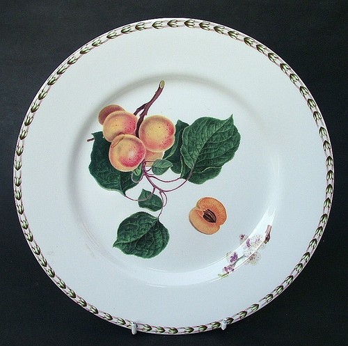 Queens Hookers Fruit for RHS 200ml Cup & Saucer Apricots Look in V Good Cond - Picture 12 of 18