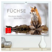 FüChse - Wanderer Durch Moos Und Farn (Hochwertiger Premium Wandkalender 2027...