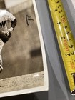Washington Senators Vintage Press Photo In Catchers Leg Protection — photo 3