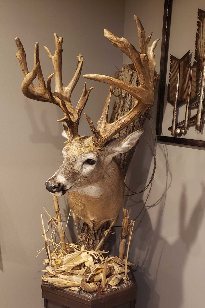 Naked Buck Head X-LARGE - 180