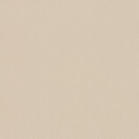 Rasch Tapete Selection 576047 Creme Vliestapete Vlies