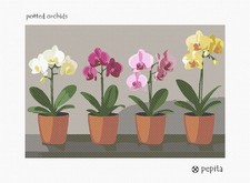 Potted Orchids Needlepoint Canvas