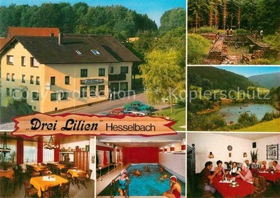 Hesselbach Odenwald Gasthof Pension Drei Lilien