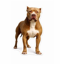 American Pit Bull Bully Dog Peeking Paws Sticker Car Bumper Decal Pitty