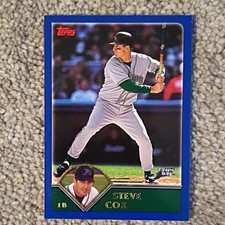 Topps 2003 Steve Cox #101 Tampa Bay Devil Rays Baseball MLB Card