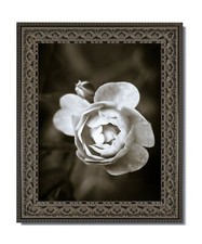 8x10 Vintage Style Ornate Black Frame, Clear Glass  Backing