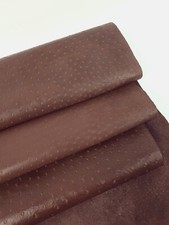 Medium Brown Ostrich 2024 Embossed Texture Leather