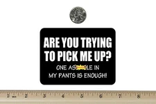 3 x 4 Biker Refrigerator Magnet Are You Trying To Pick Me Up BM047