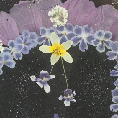 Vintage Japanese OSHIBANA handmade pressed flower Art Framed H9