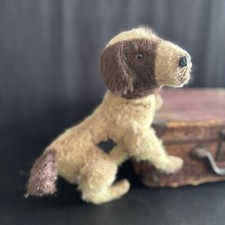 Like a vintage mohair terrier dog